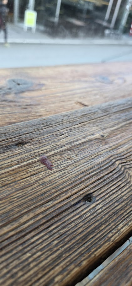 Green Van : La preuve que tout est dans le bœuf